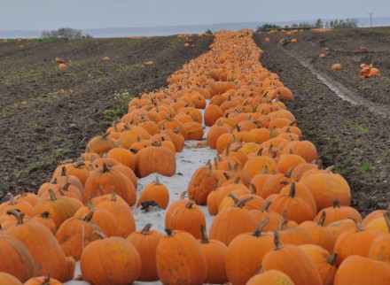 snart pumpadags