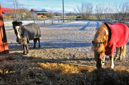 Hildur &LO