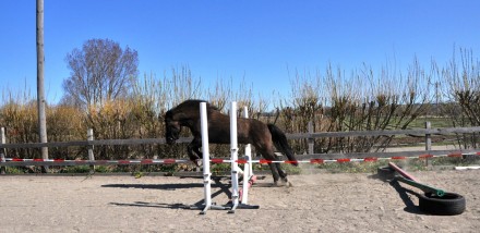 Birger hoppar