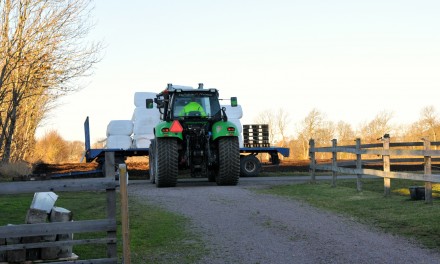 Hösilage på gång
