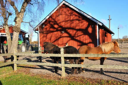 Vindur kollar läget
