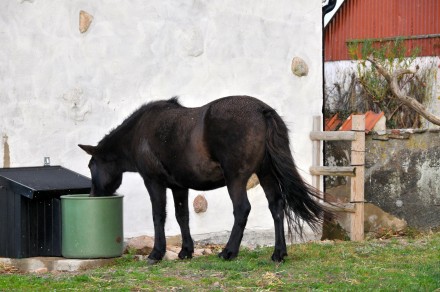 Vintervatten