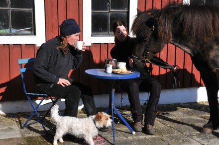 Första vårfikan ute